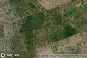 Arroyo Mata de Corral