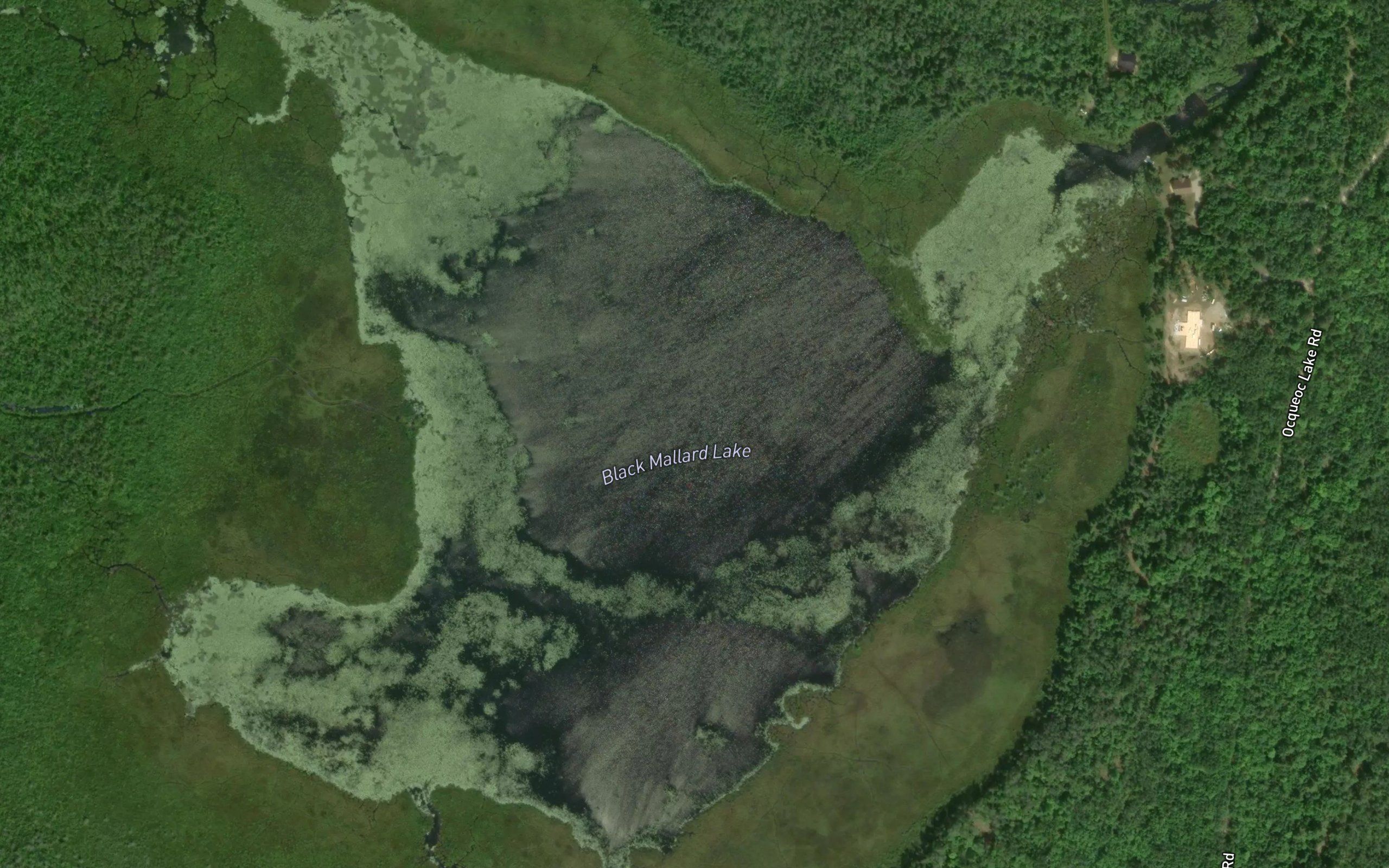 Black Mallard Lake