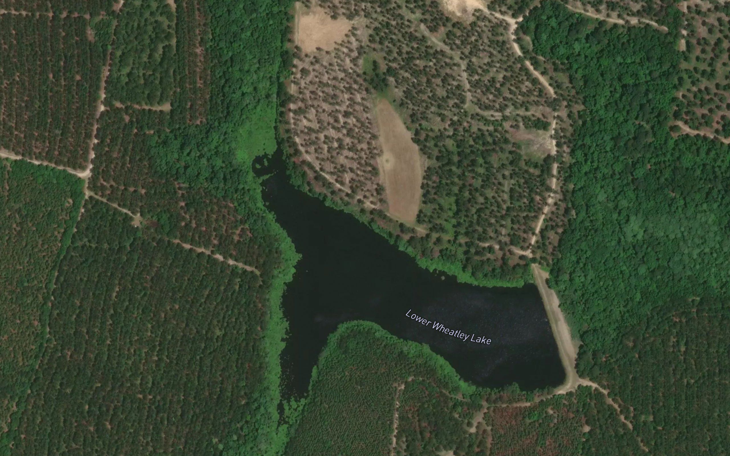 Lower Wheatley Lake