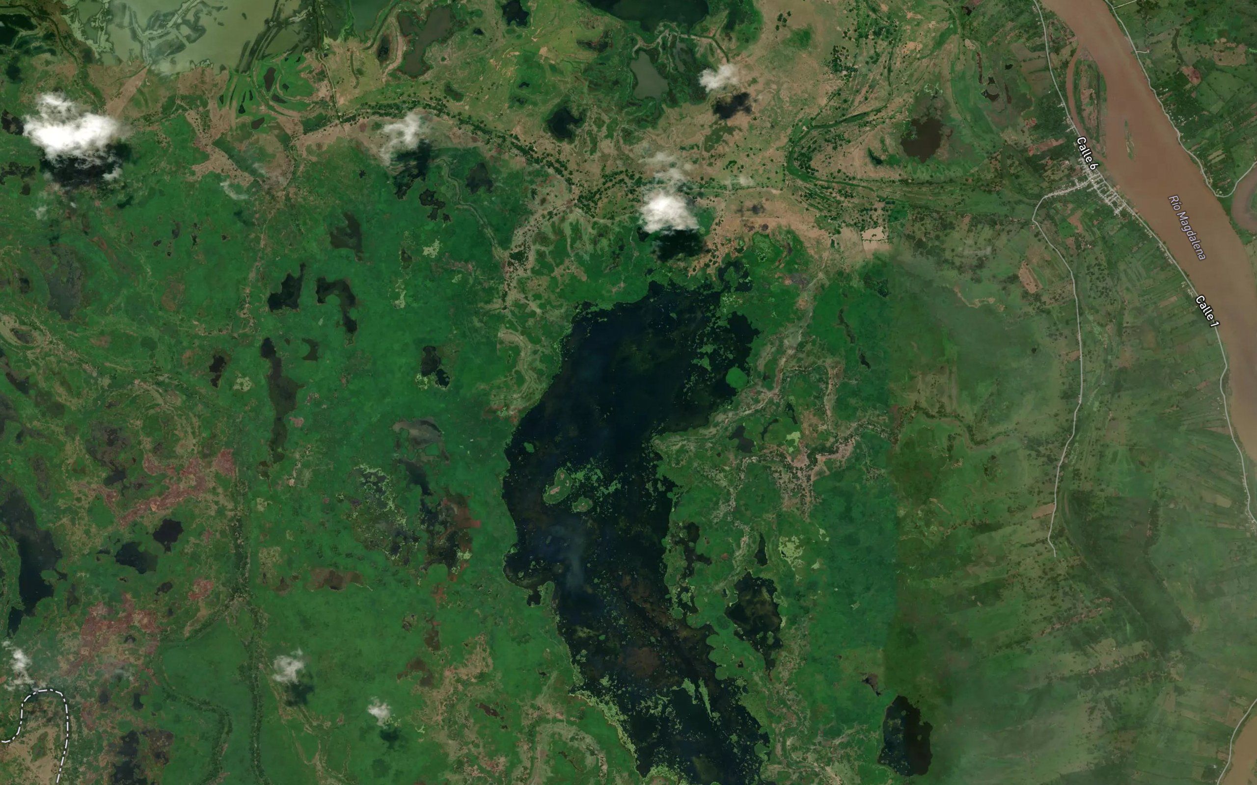 Cienaga La Viuda
