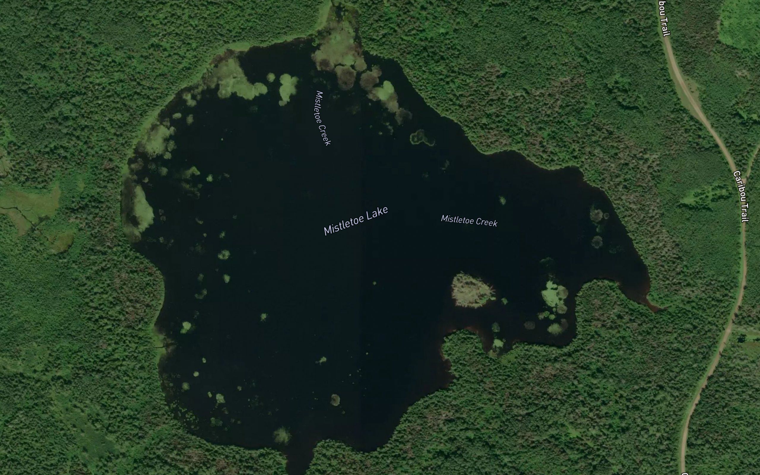 Mistletoe Lake
