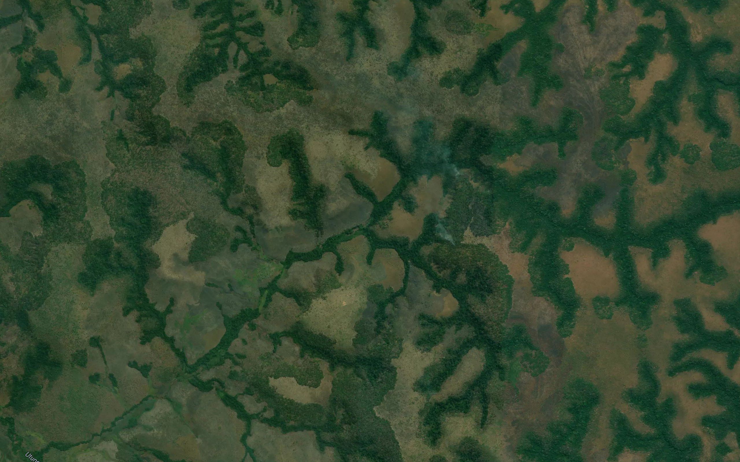 Monalomba