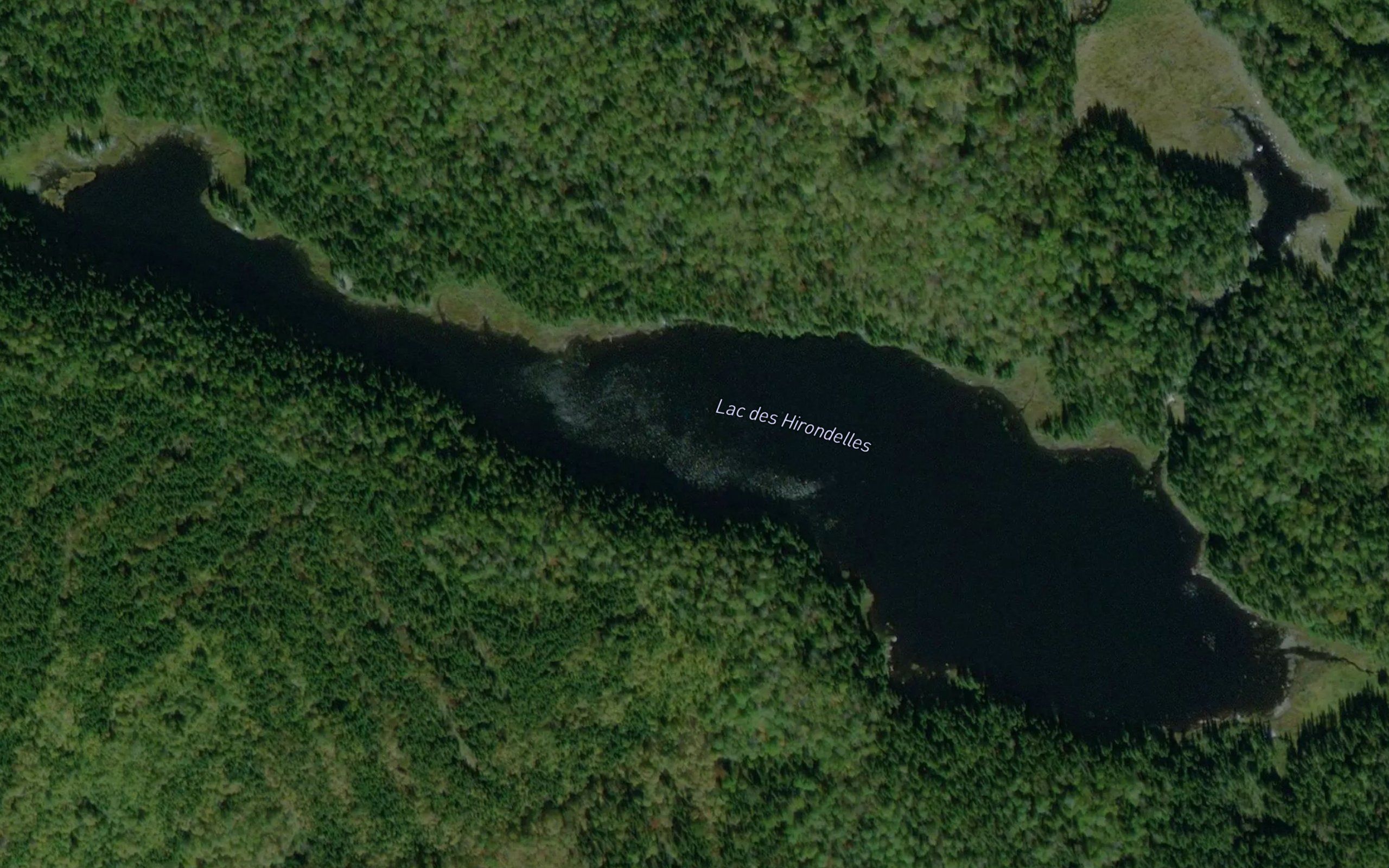 Lac des Hirondelles