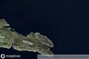 Orbakkflui