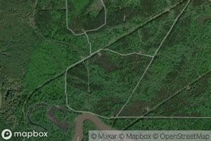 Mulberry Flat Slough