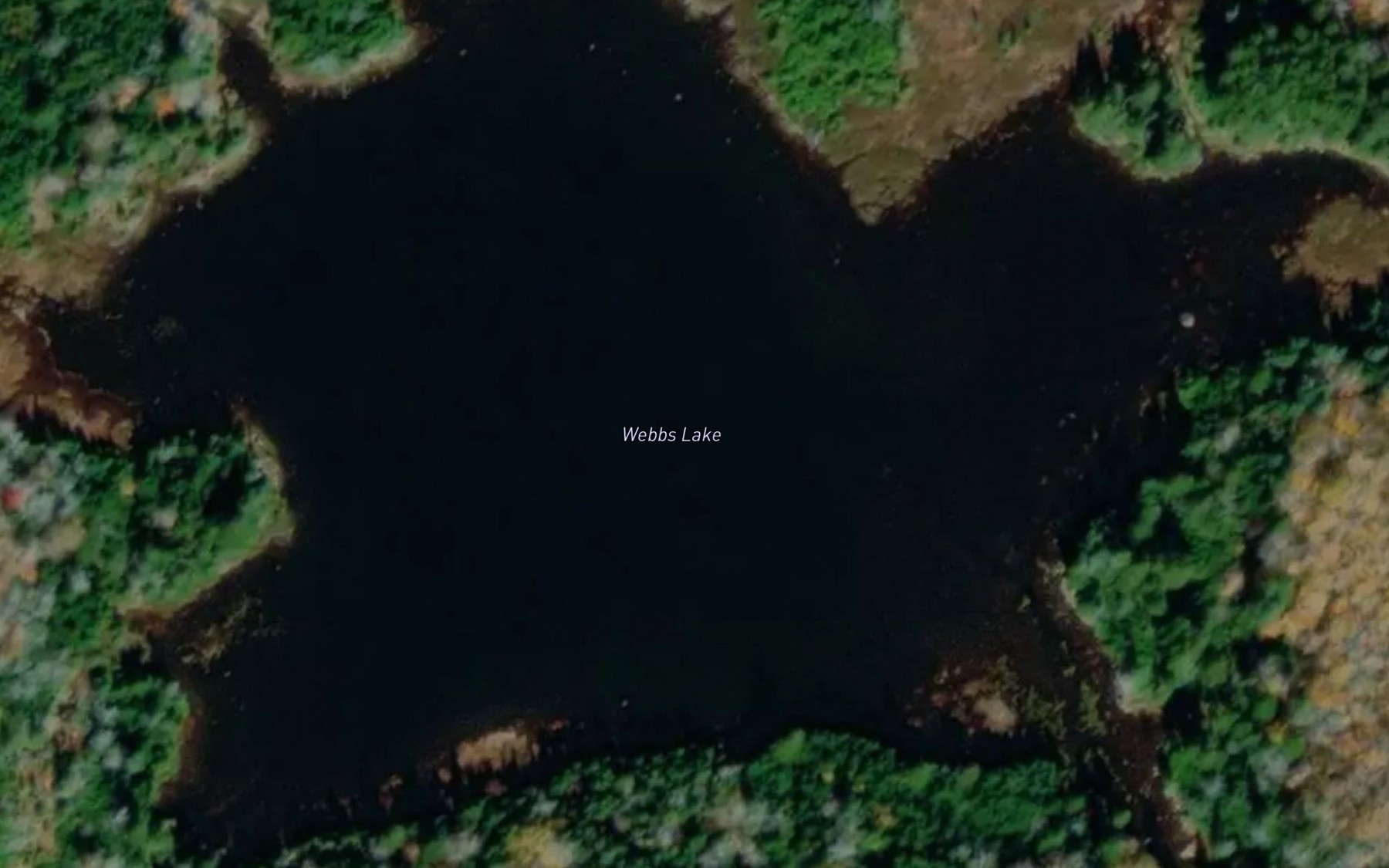 Satellite map of the Webbs Lake