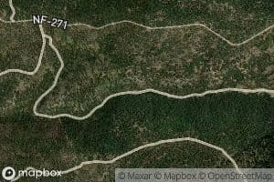 Quaking Aspen Spring