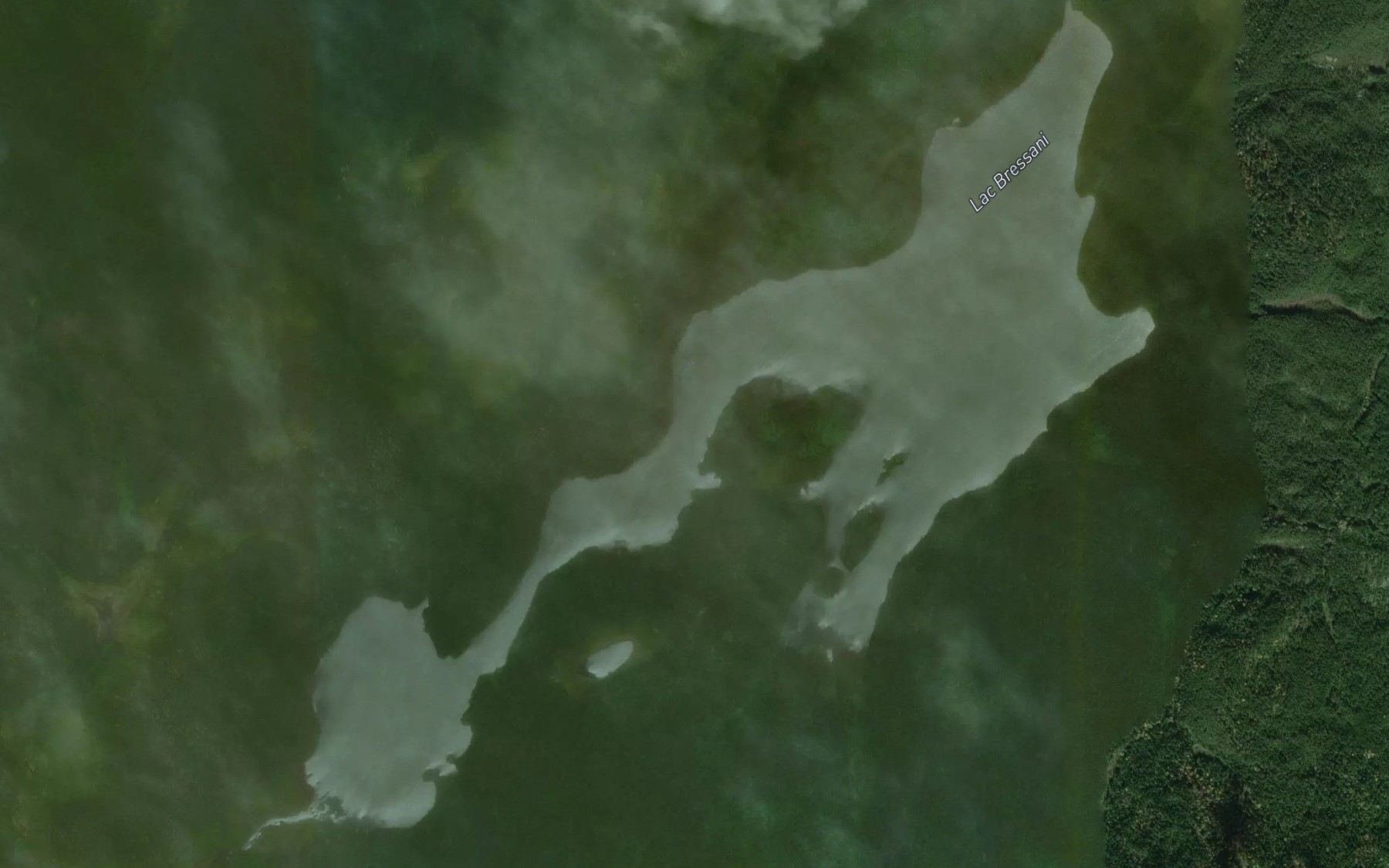 Satellite map of the Lac Bressani