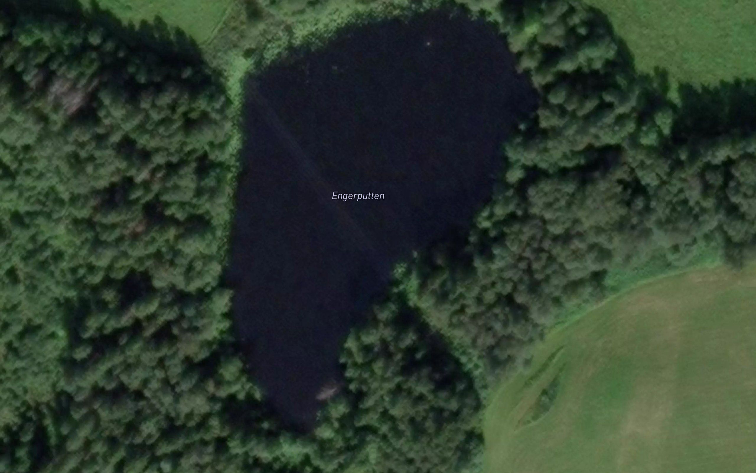 Engerputten