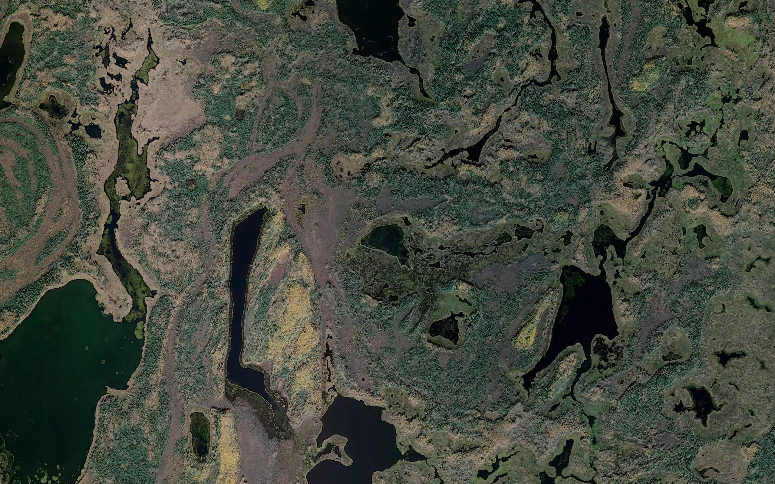 Grassy Lake