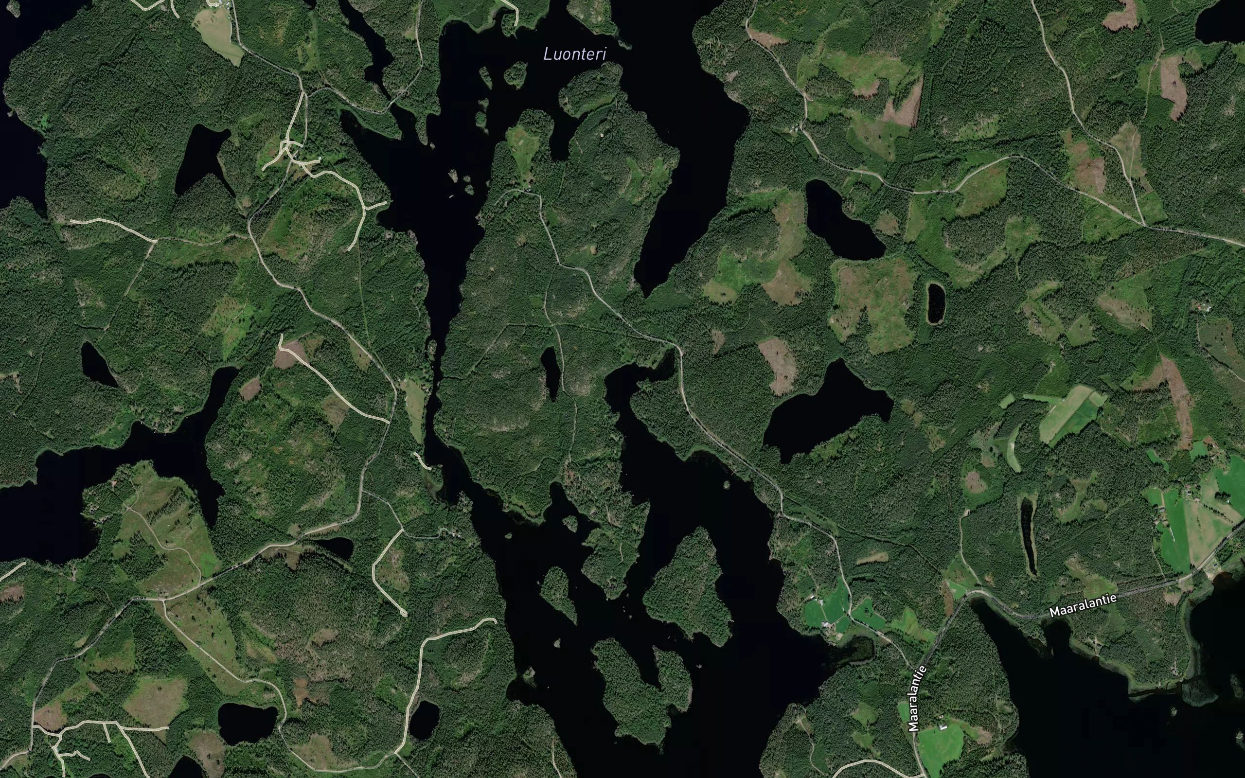 Luuslahti