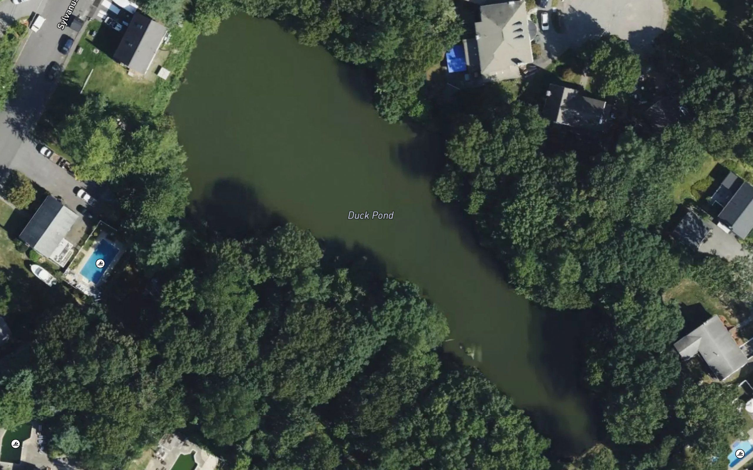 Horn Pond