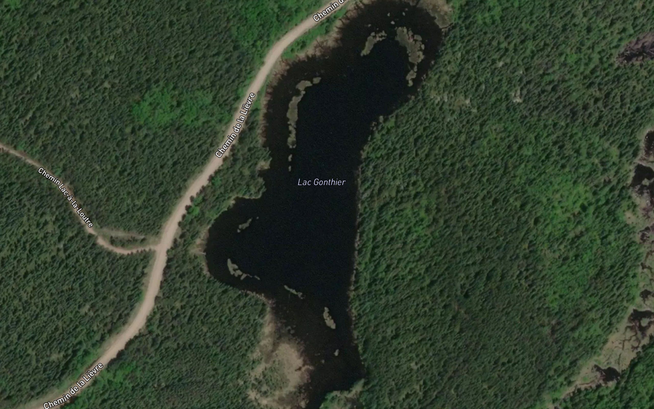 Lac Gonthier