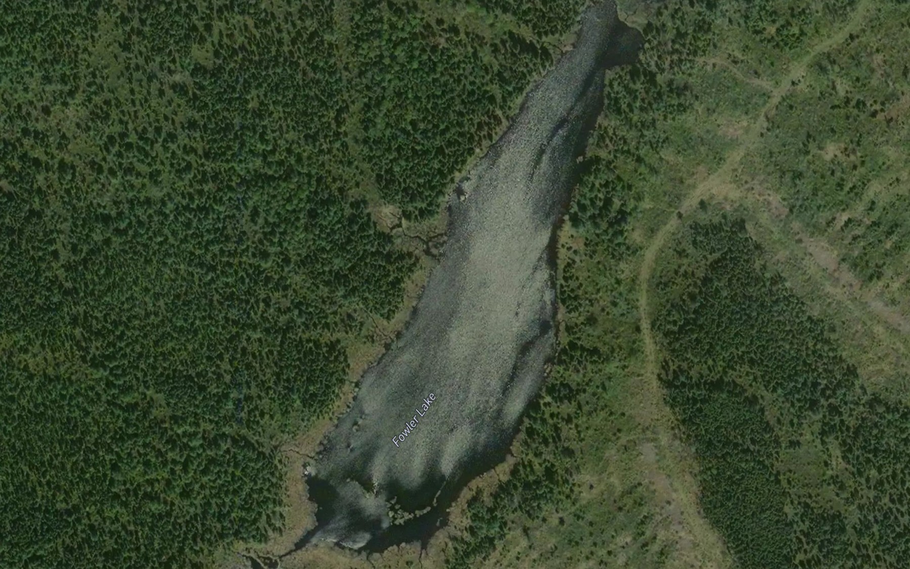 Satellite map of the Fowler Lake