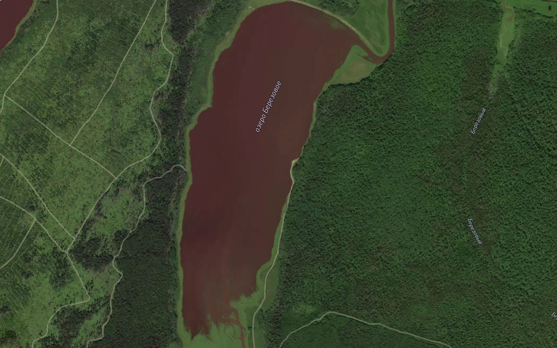 Satellite map of the Ozero Berezovoye