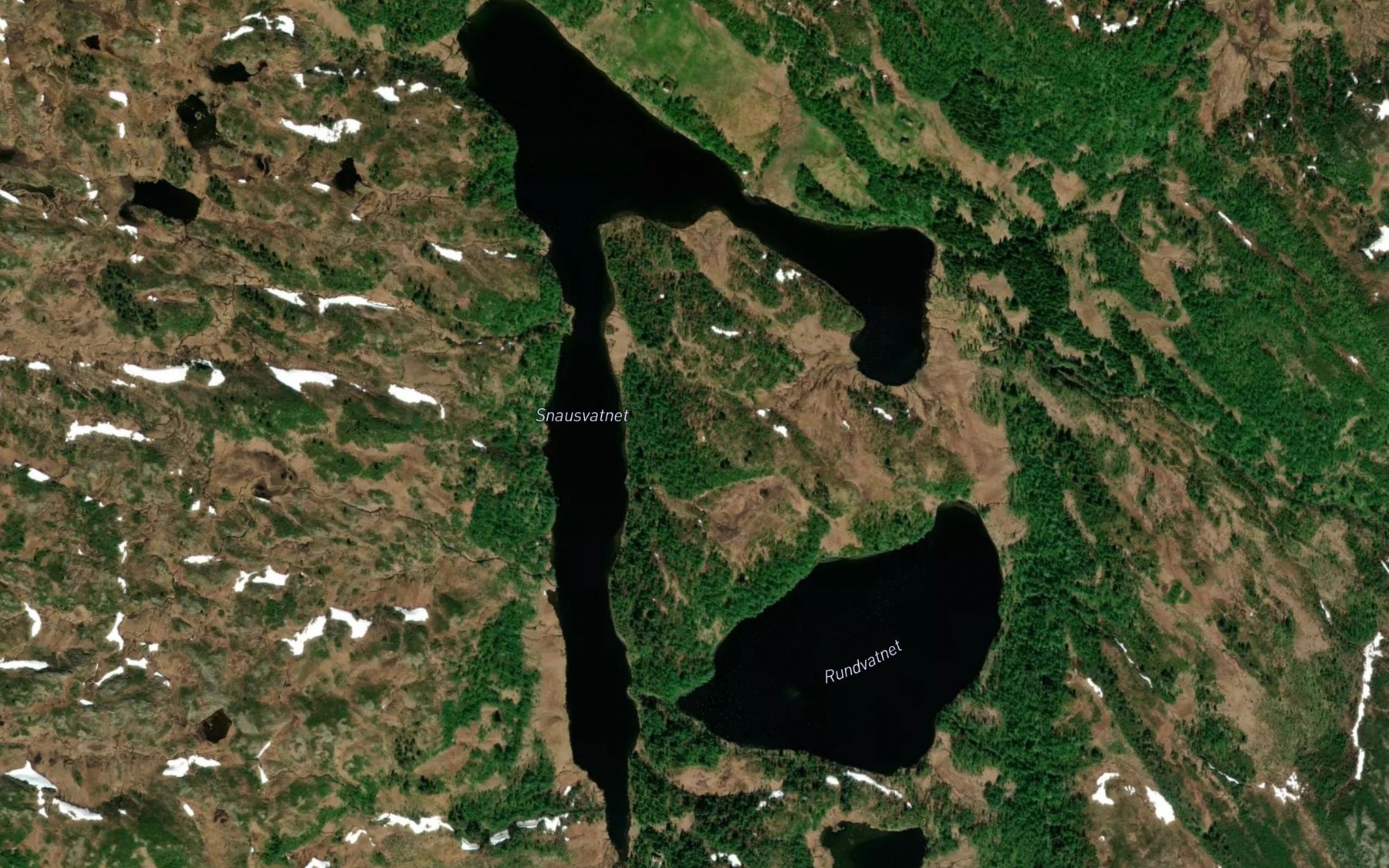 Satellite map of the Snausvatnet