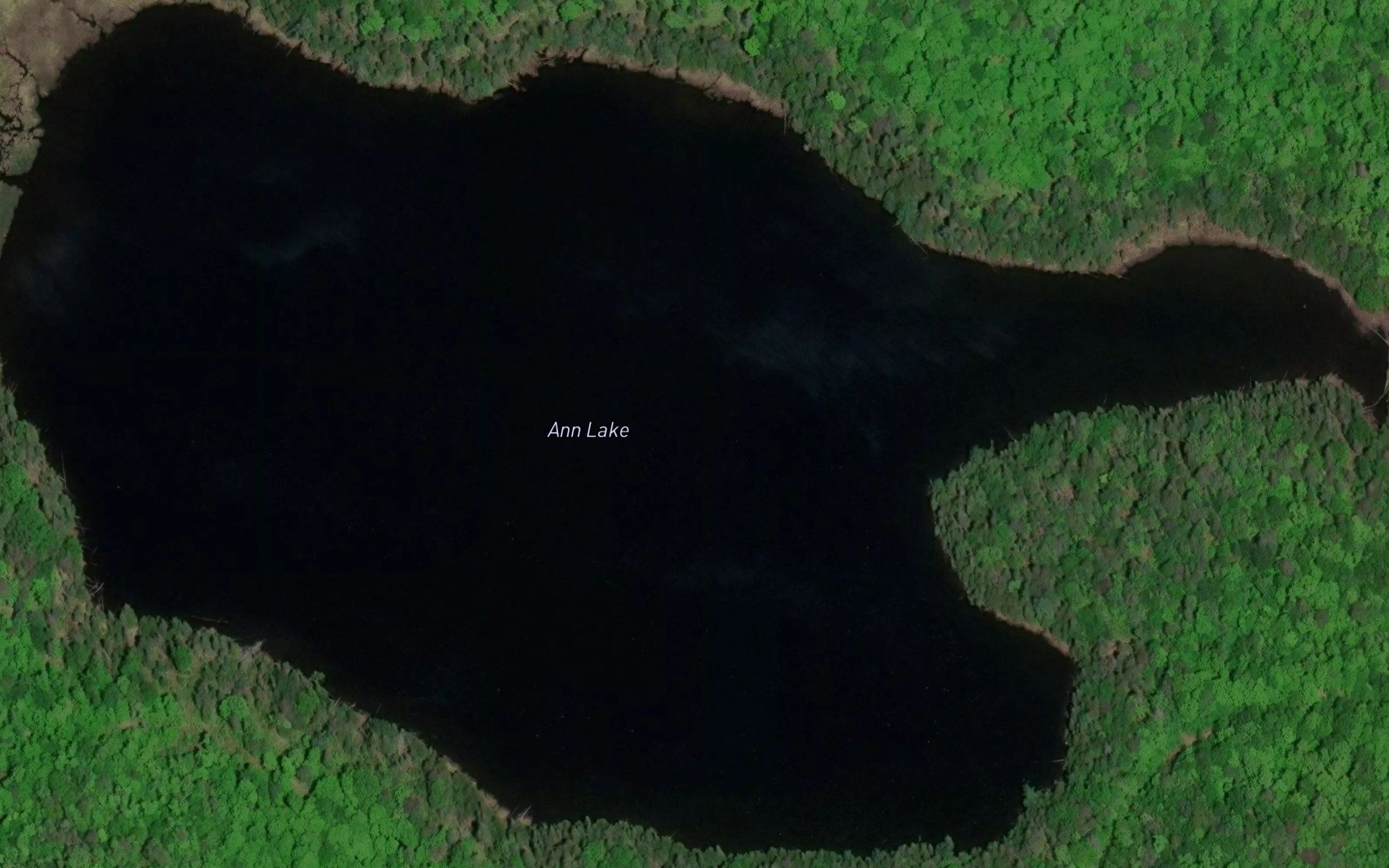 Ann Lake