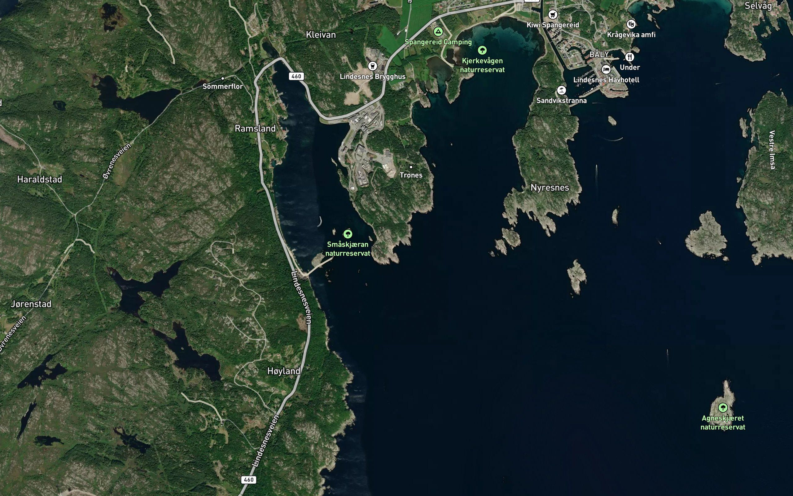 Tronesvika