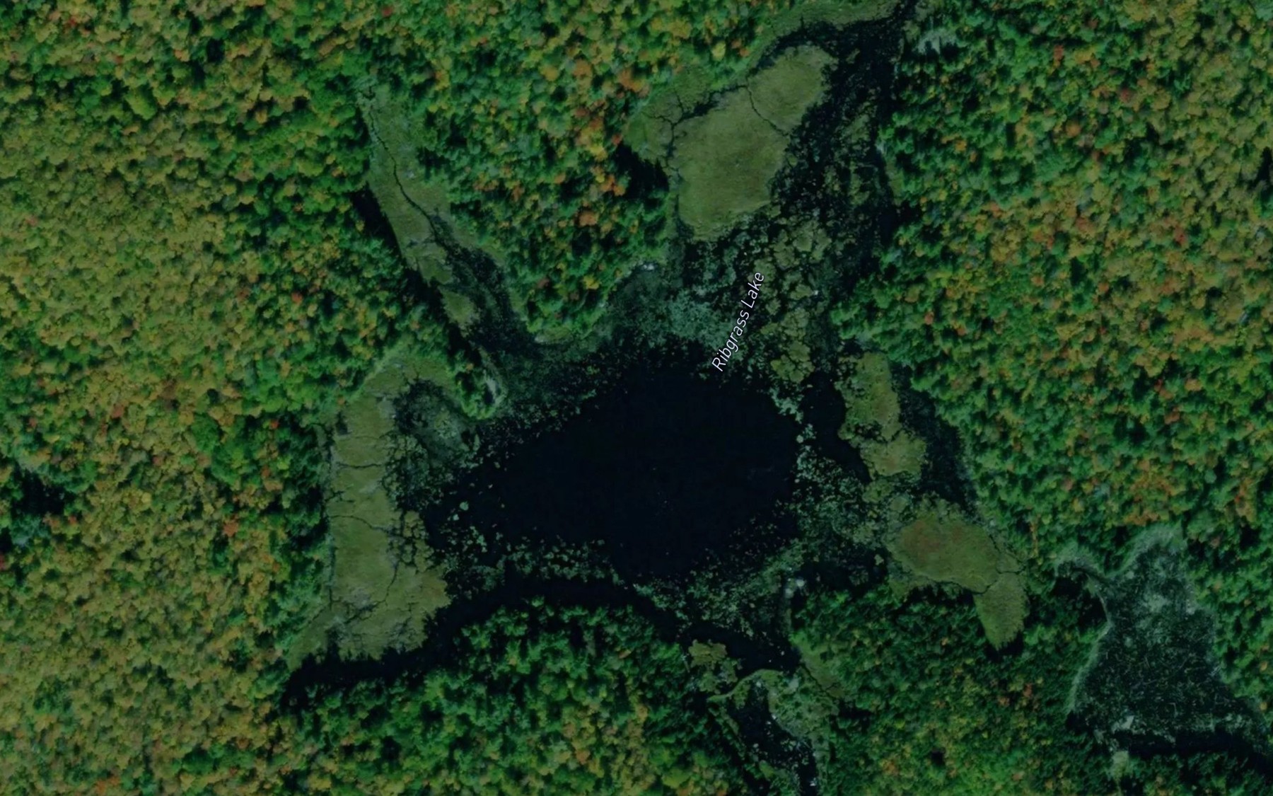 Satellite map of the Ribgrass Lake