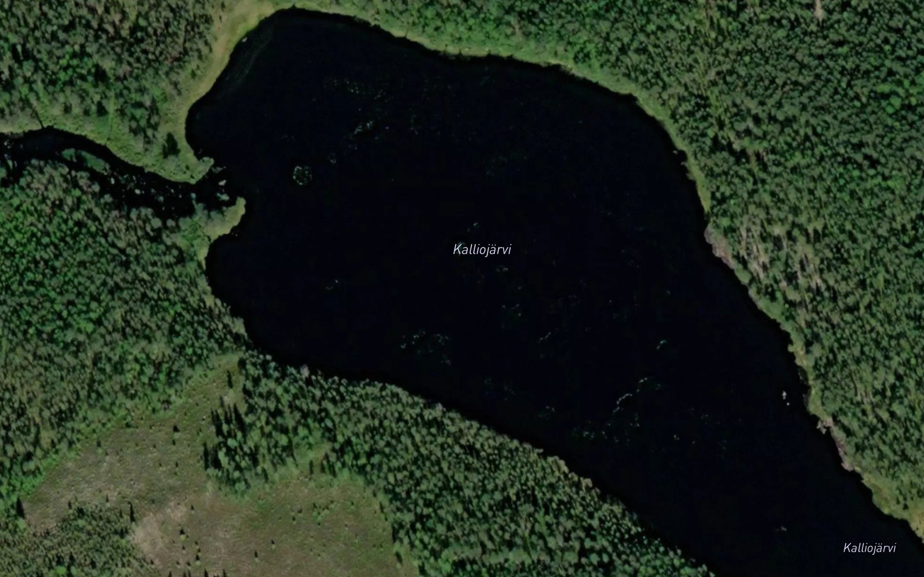 Satellite map of the Kalliojarvi