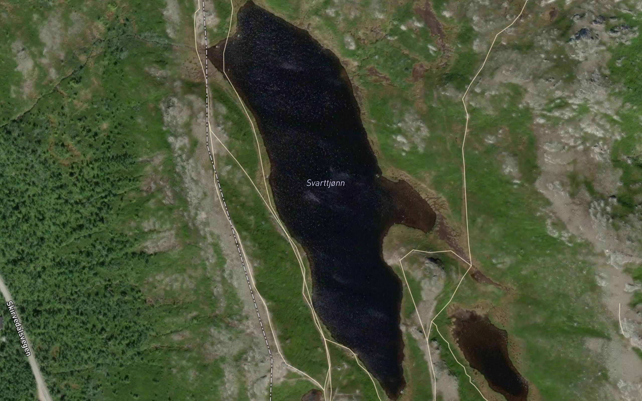 Svartetjorni