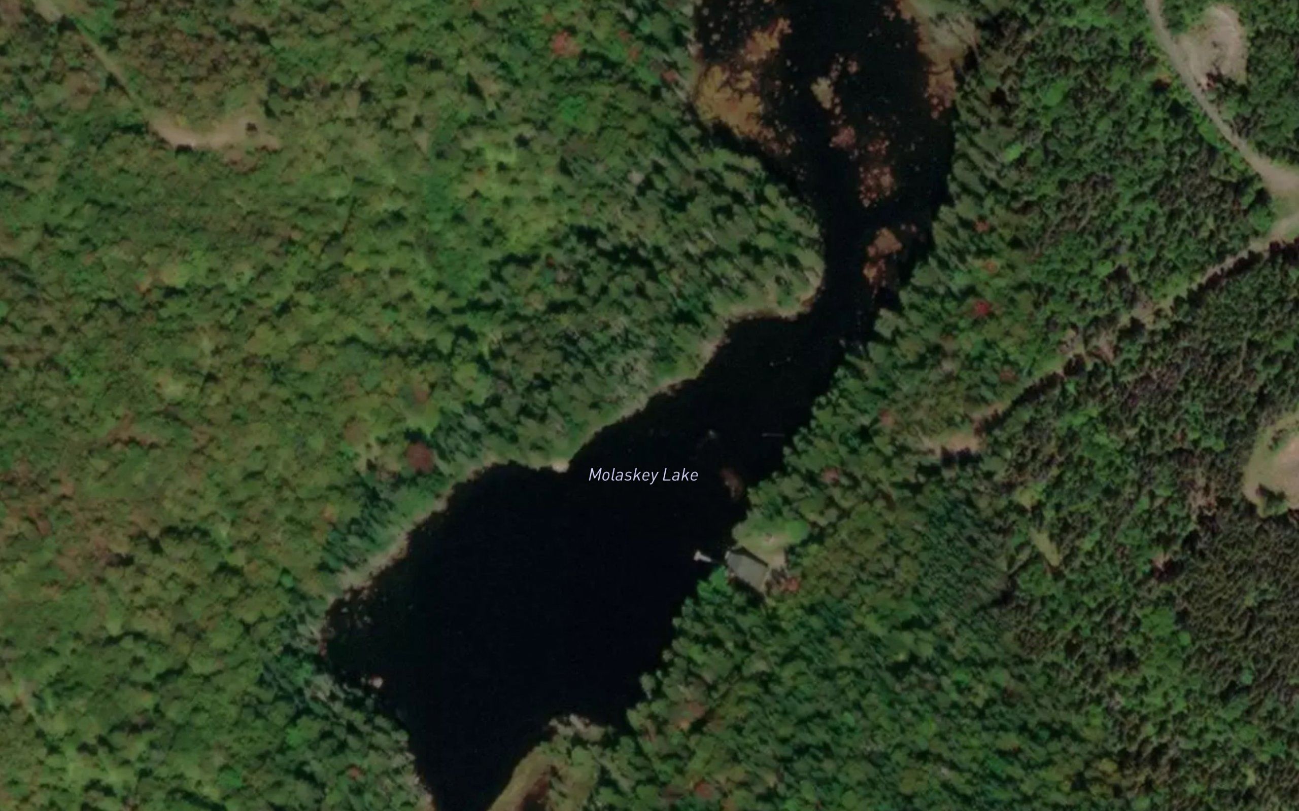 Molaskey Lake