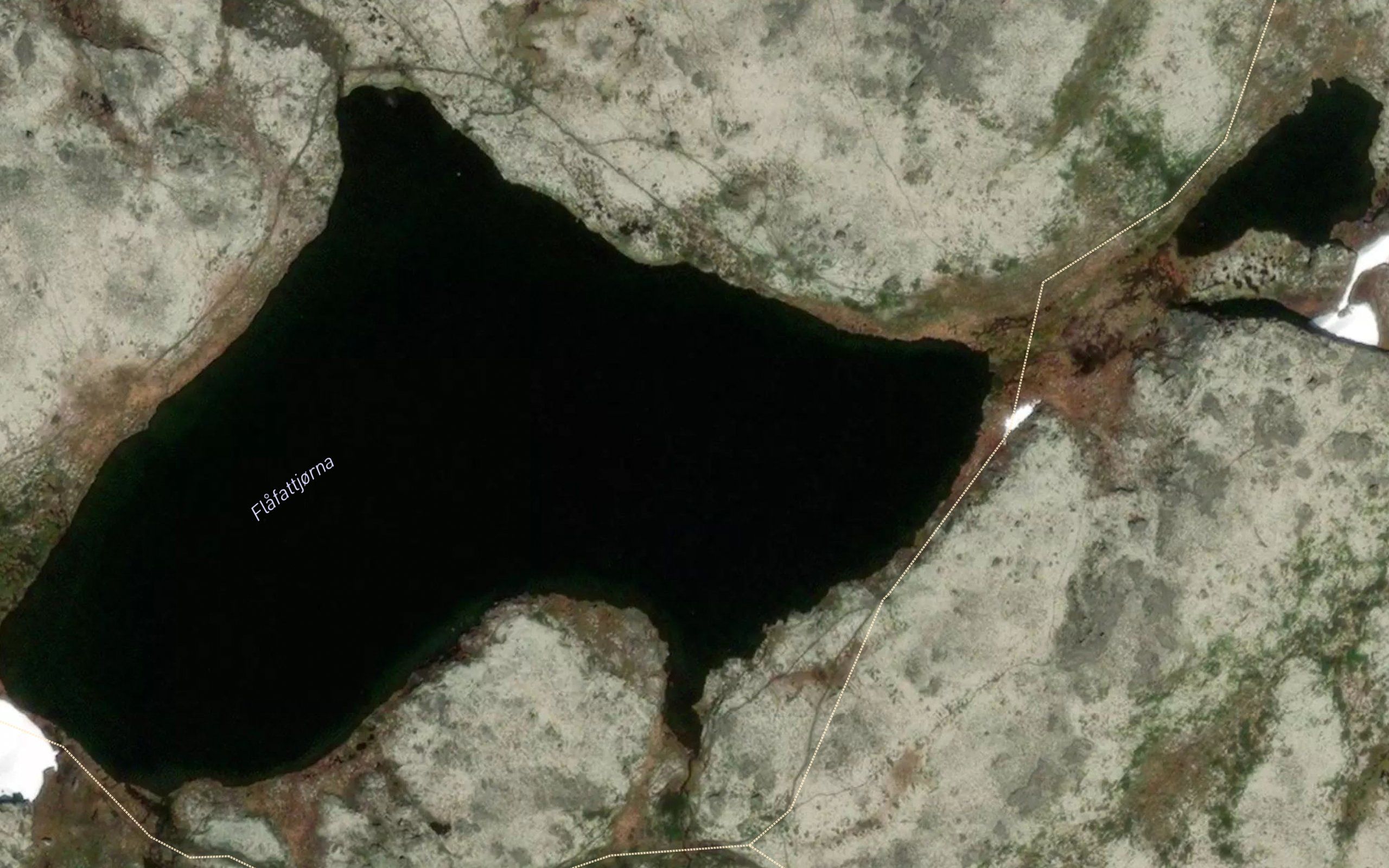 Flafattjorna