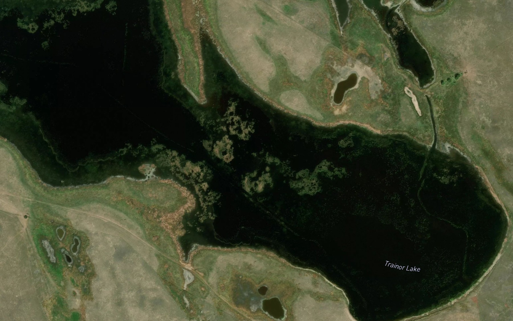 Satellite map of the Trainor Lake