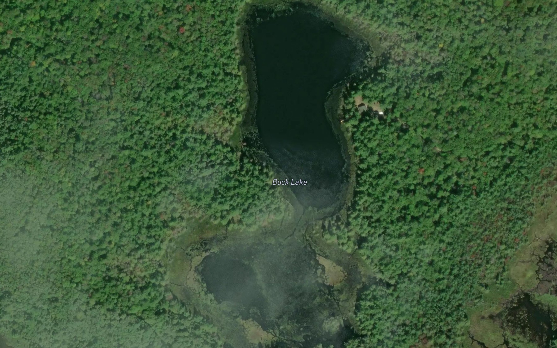 Satellite map of the Buck Lake