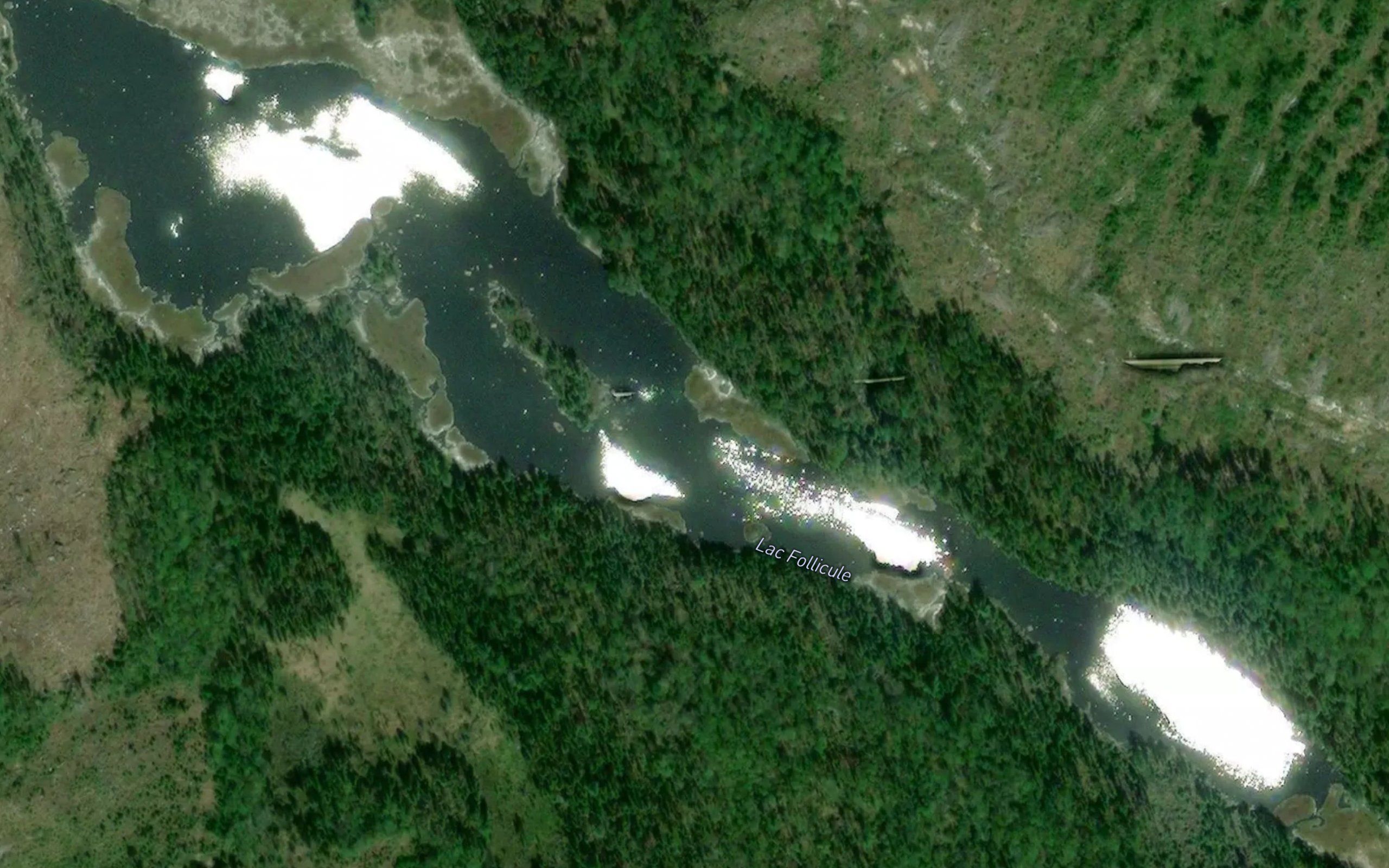 Lac Follicule