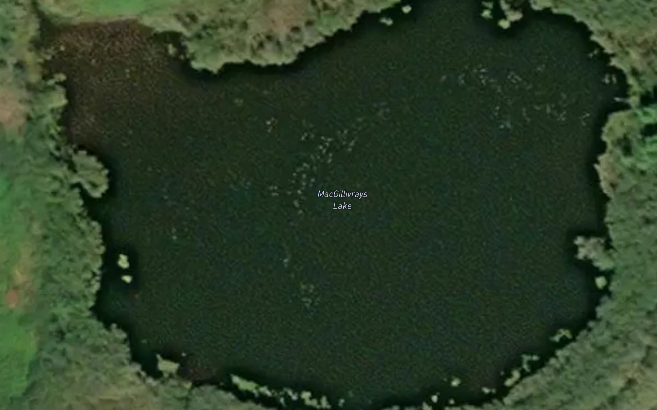MacGillivrays Lake
