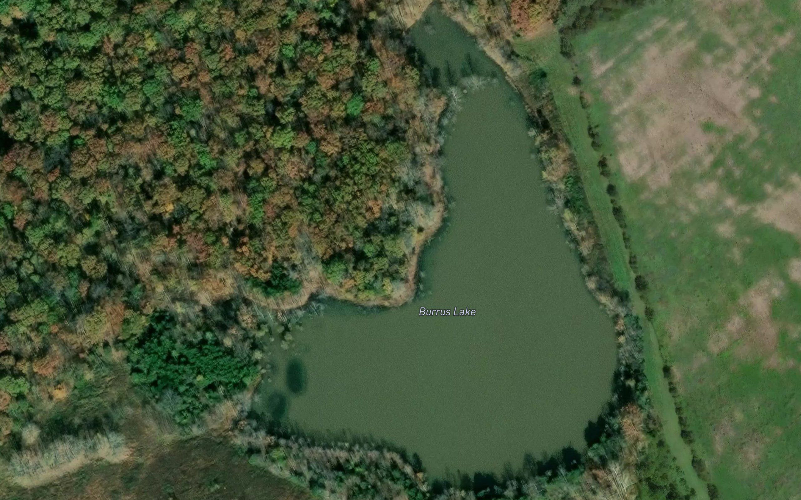 Burrus Lake