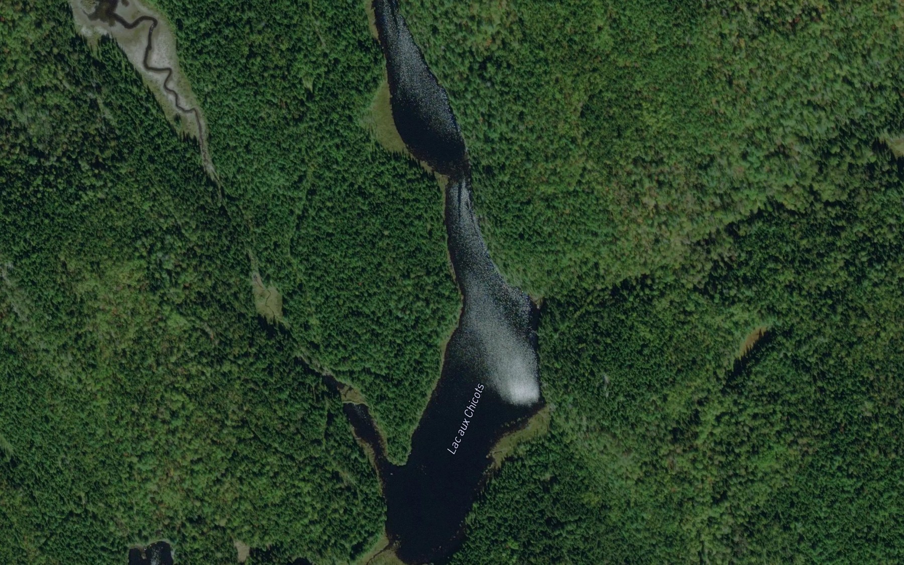 Satellite map of the Lac aux Chicots