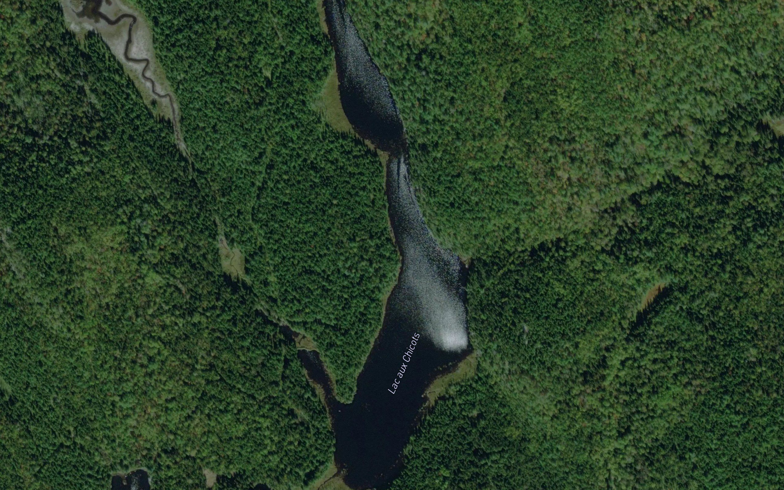 Lac aux Chicots