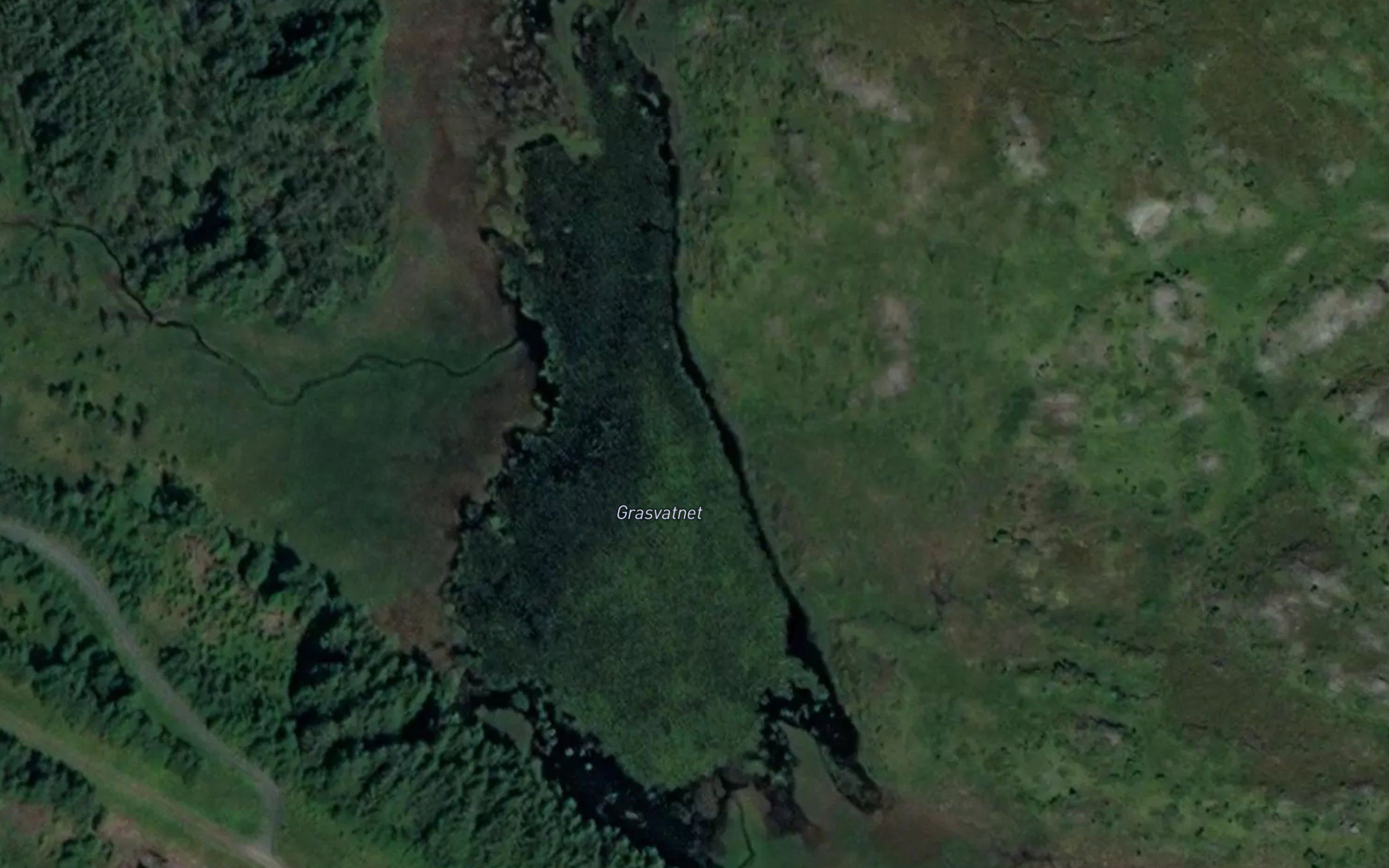 Grasvatnet