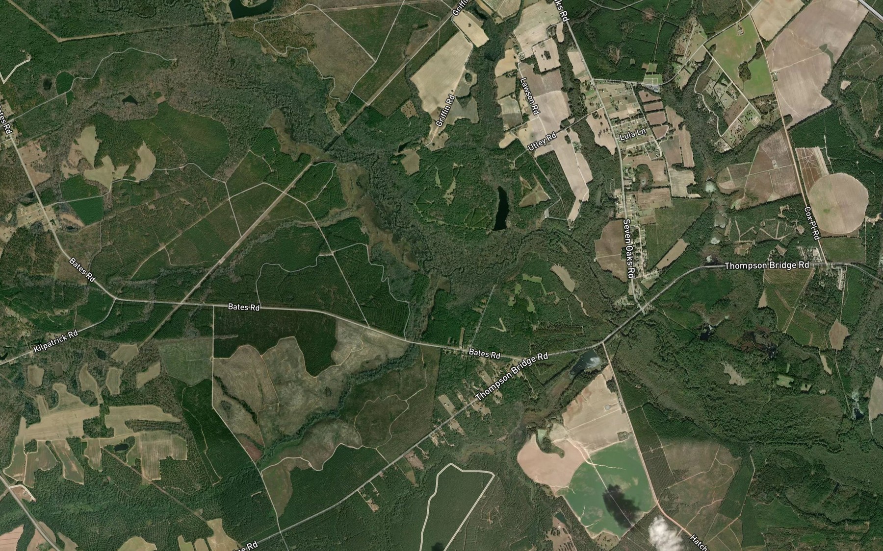 Satellite map of the Fitz Branch