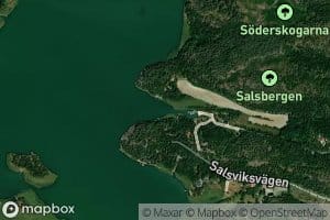 Salsviken