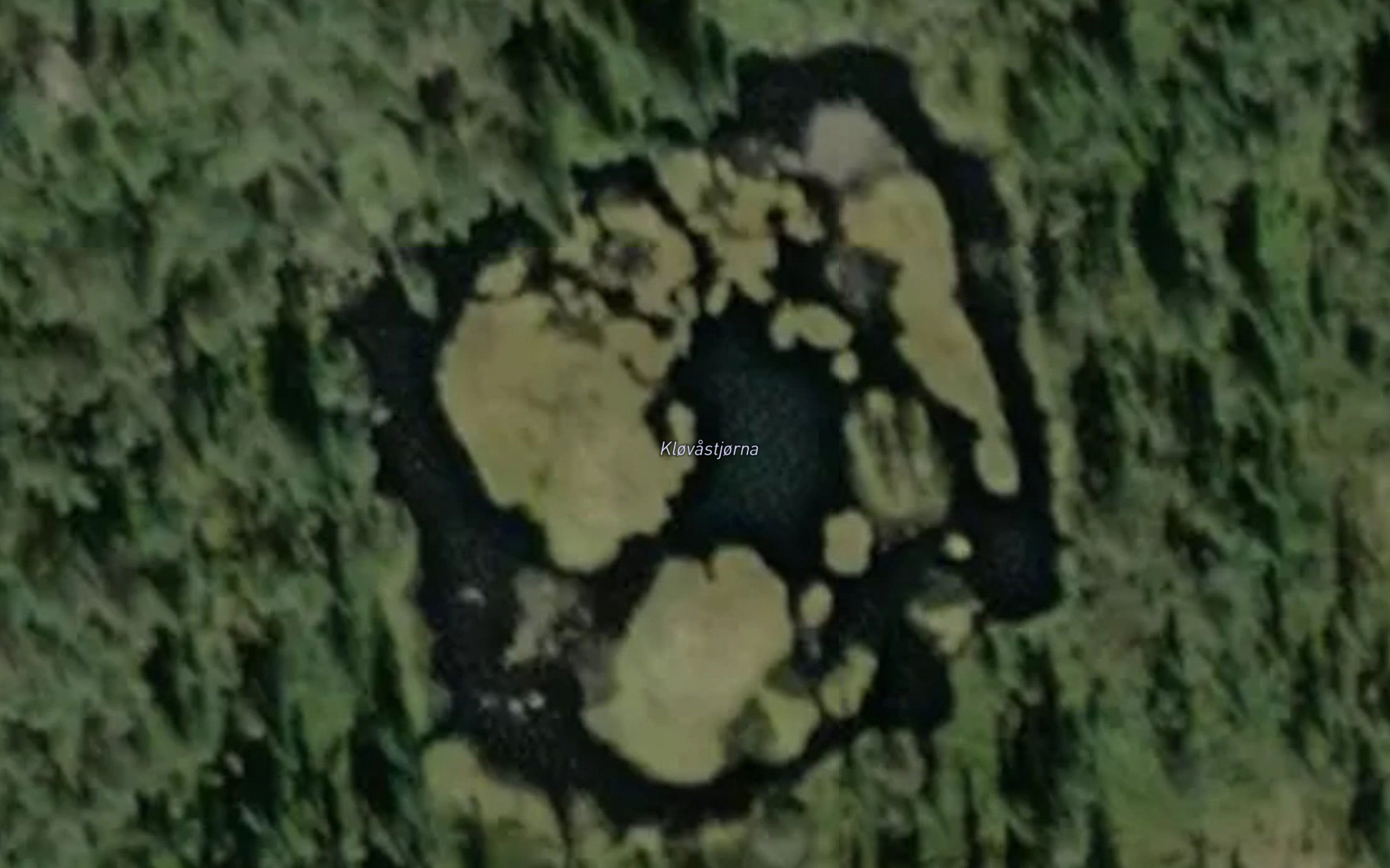 Klovastjorna