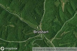Buzzard Roost Fork