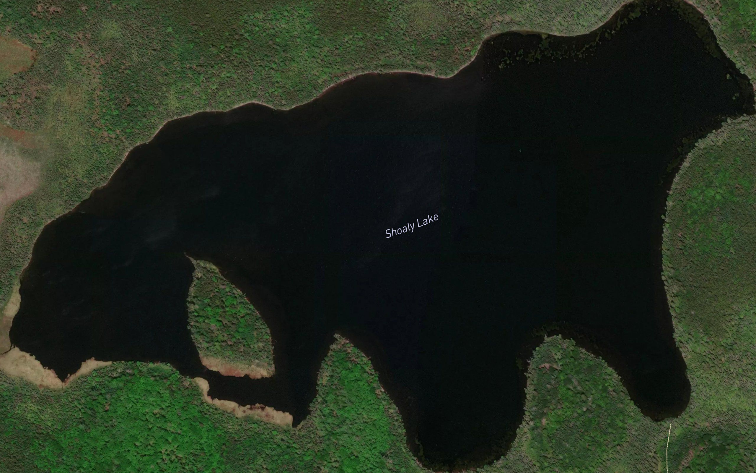 Shoaly Lake