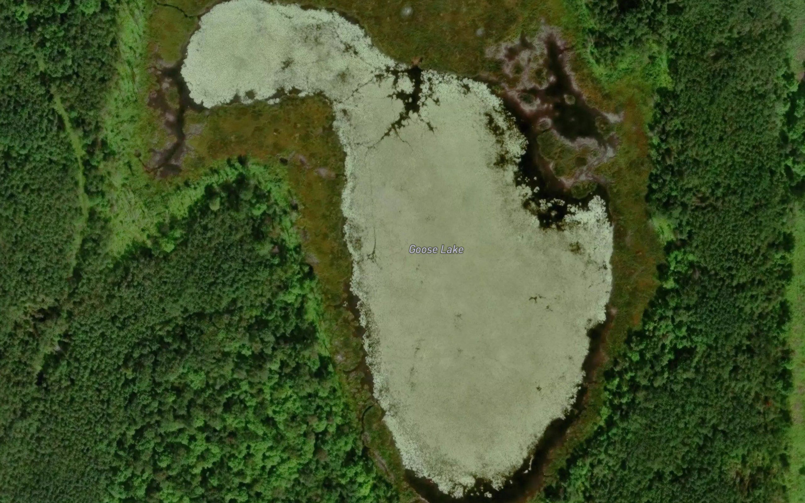 Goose Lake