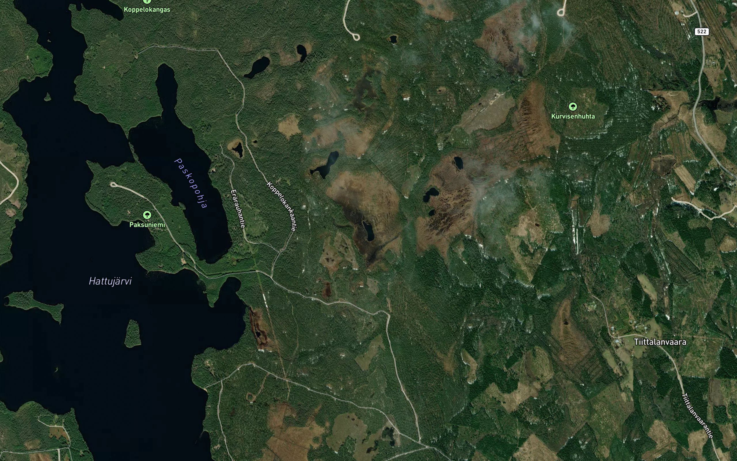 Heinalampi