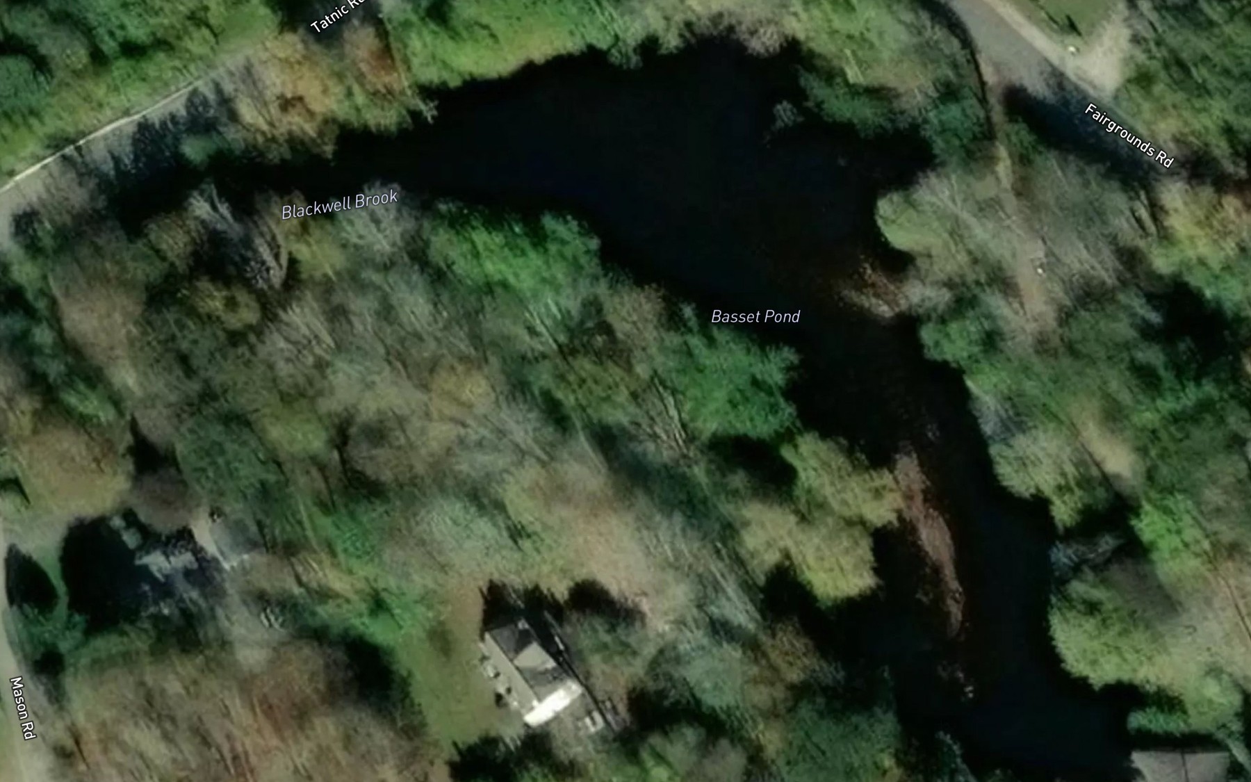 Satellite map of the Basset Pond