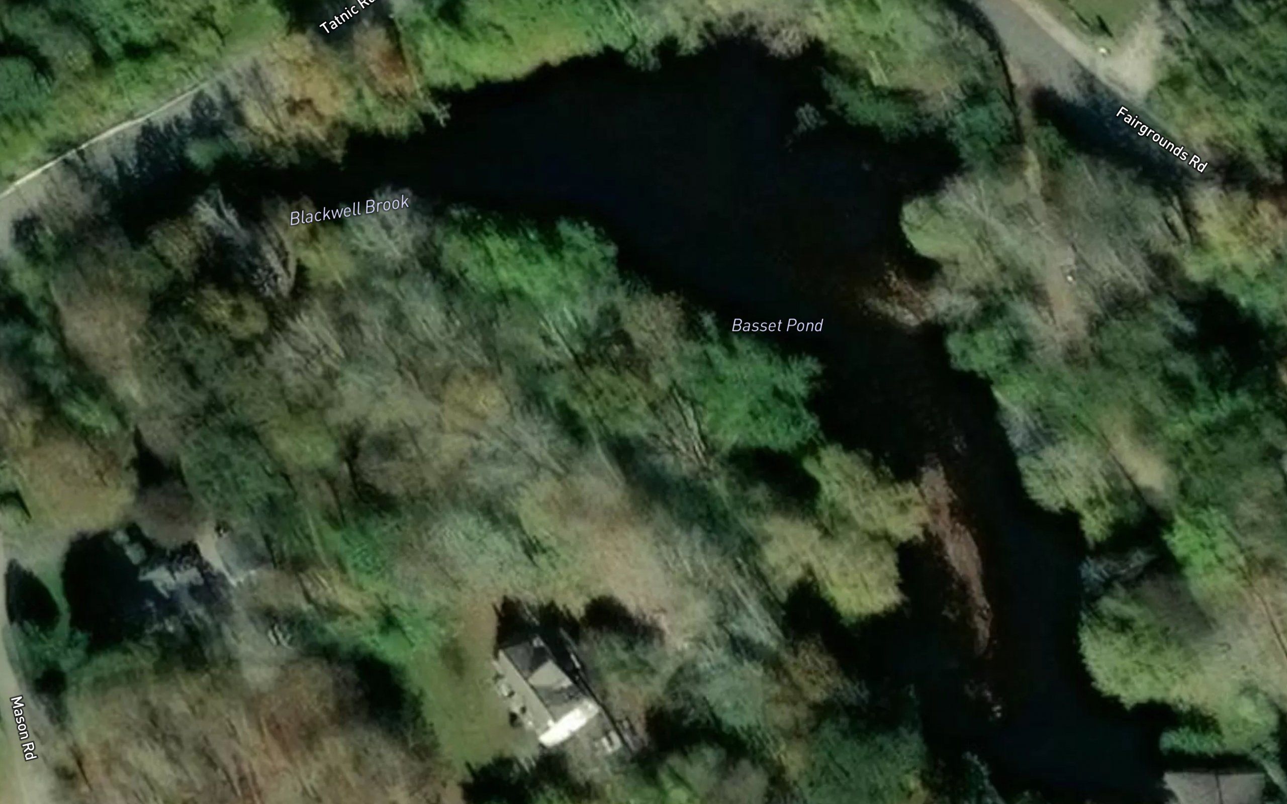 Basset Pond