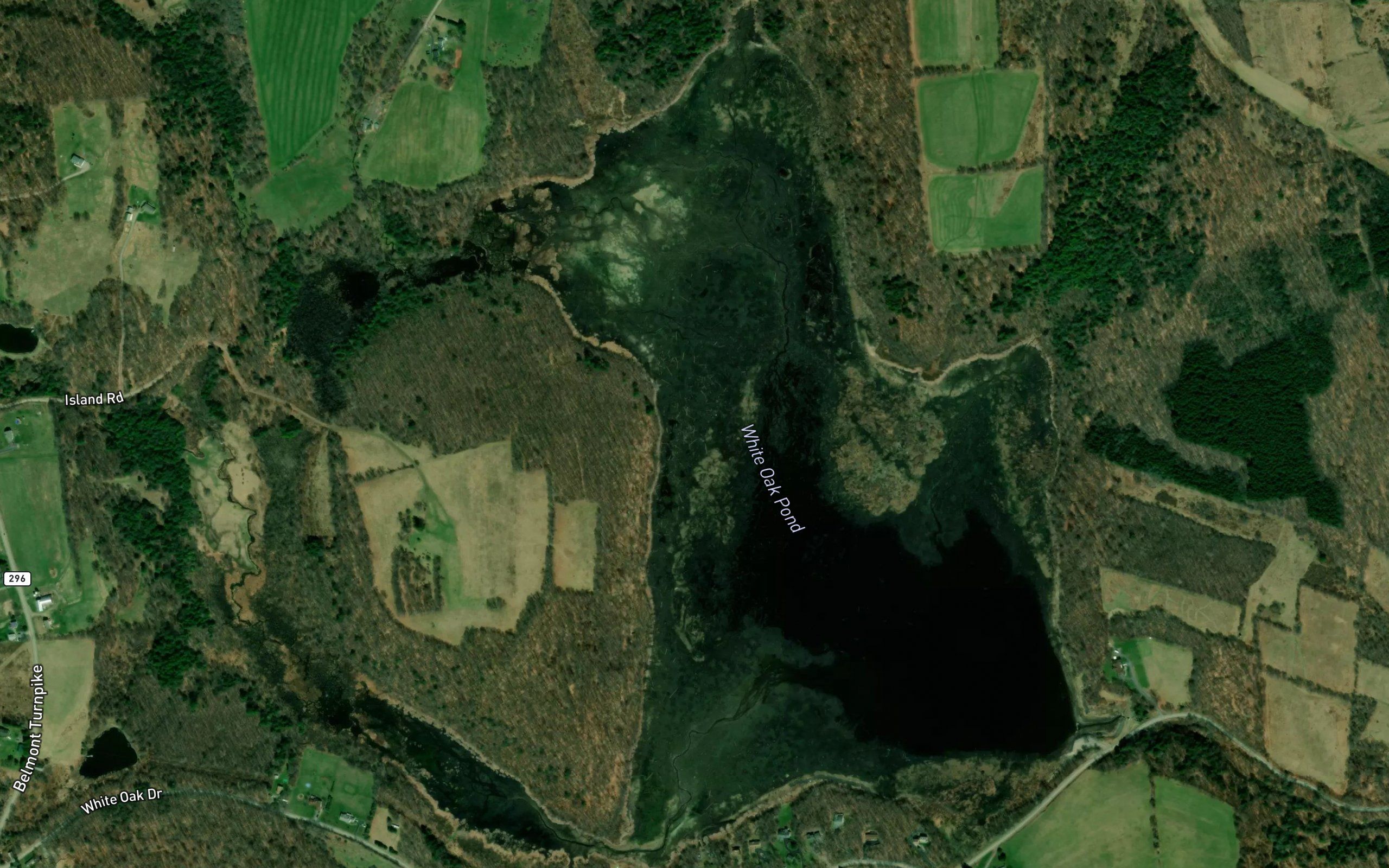 White Oak Pond
