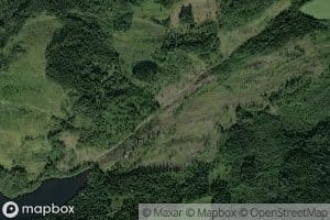 Revtjornbekken
