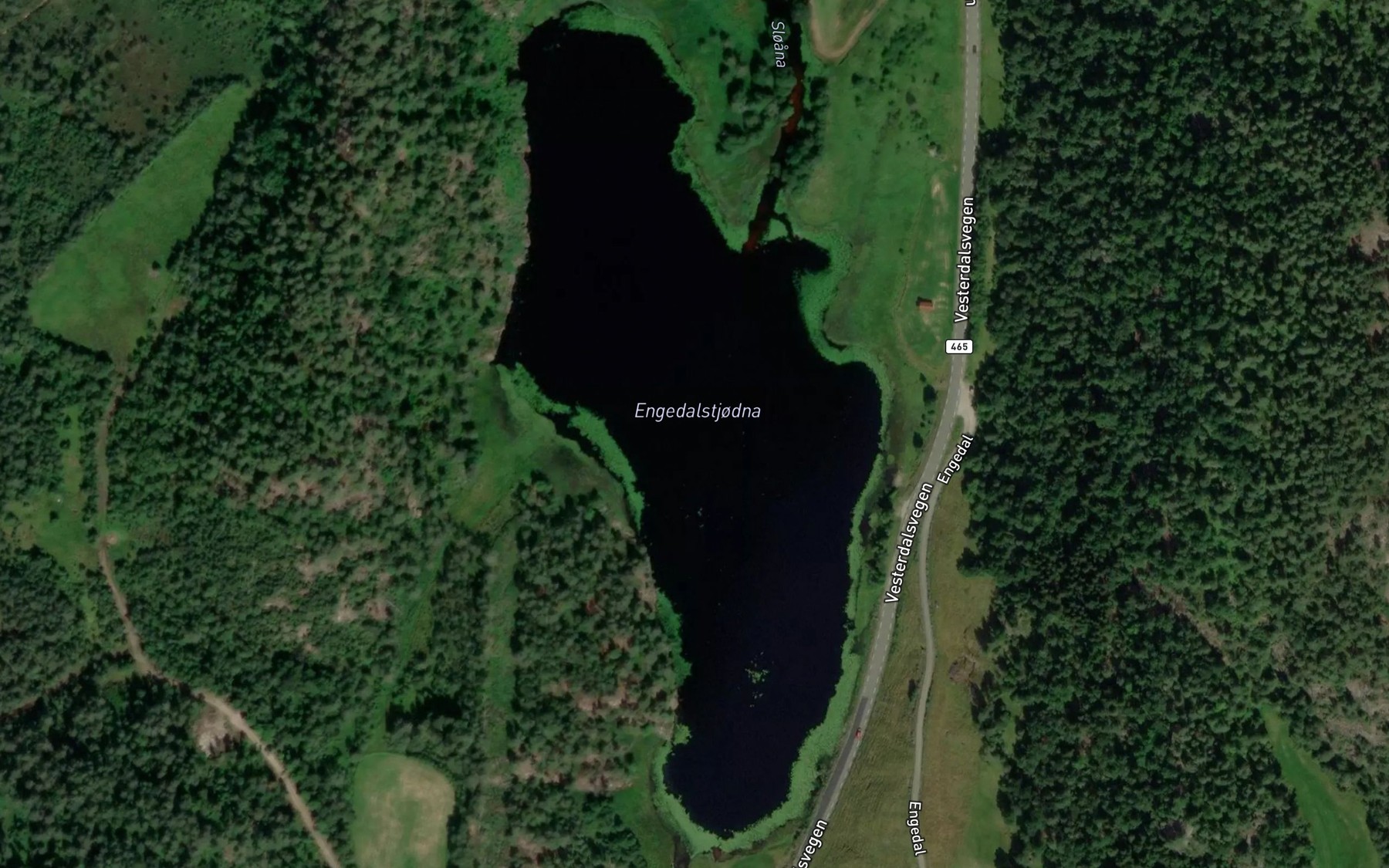 Satellite map of the Engedalstjodna