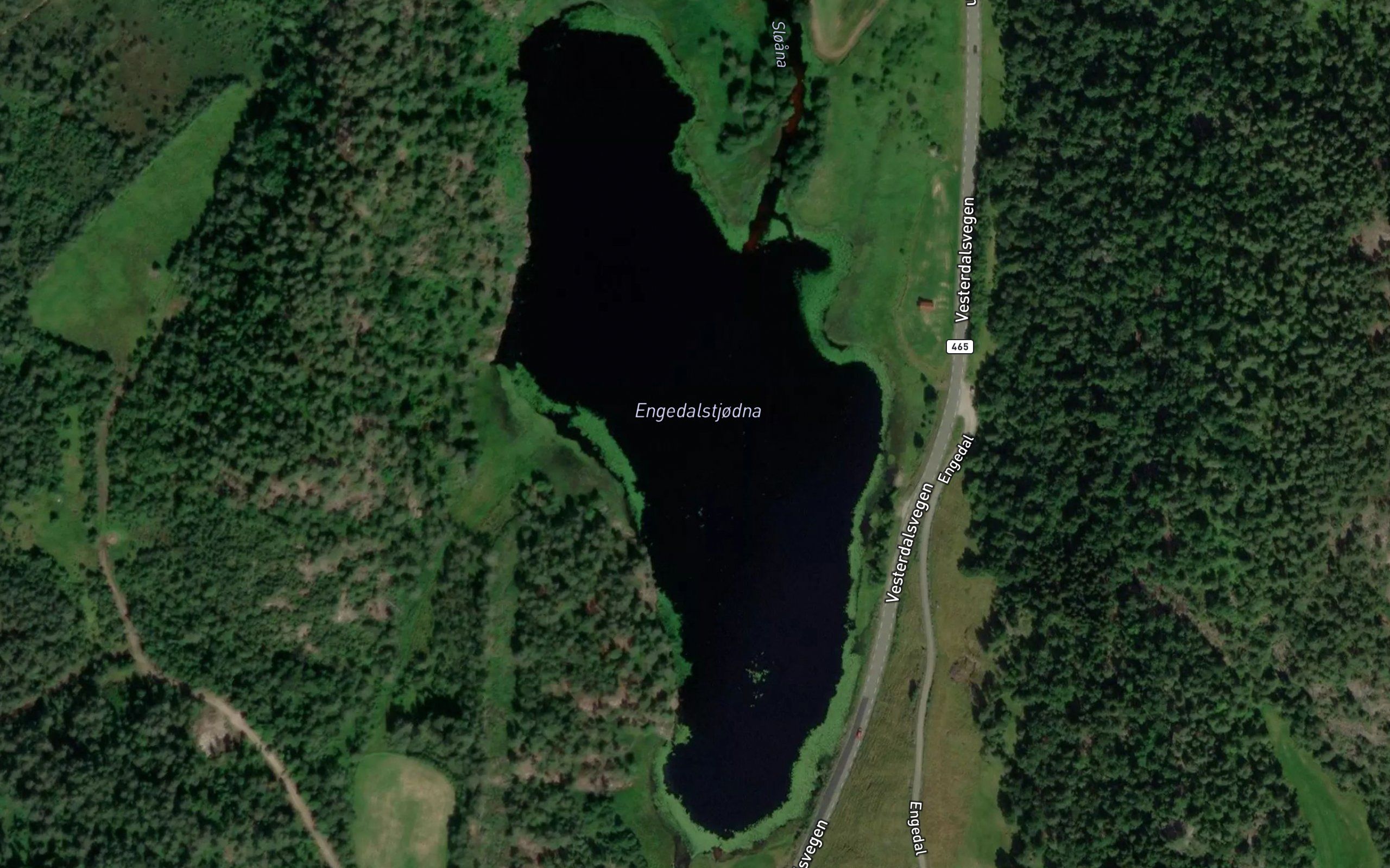 Engedalstjodna