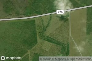 Willow Creek