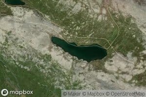 Fjelltjorna